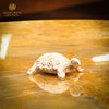 The Sterling Artisan Tortoise Figurine